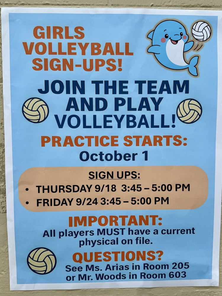 volleyball sign ups