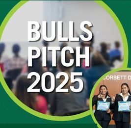 Bulls Pitch Graphic