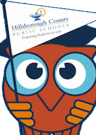 FOCUS Owl