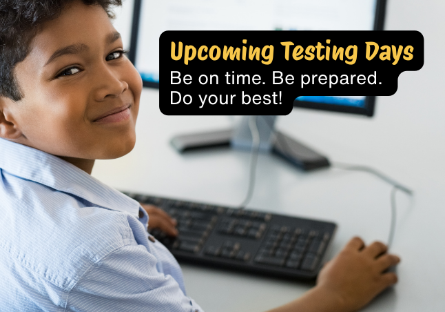 Testing days-Boy sitting at a computer