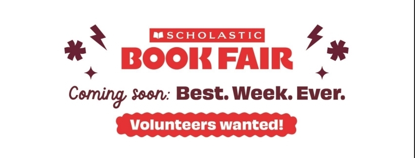 Volunteer at the bookfair!