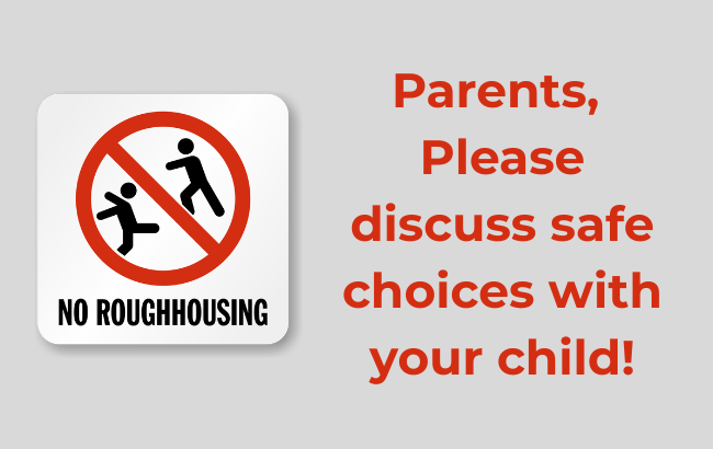 light gray background; two black stick figures (one falling backwards to the left of the picture & 1 lunging toward the falling figure with arms straight out in front of body, elbows locked) behind a round, red circle with a red line crossing diagonally through it (all inside a  white box with rounded edges) Black text, "No roughhousing". Red text for the rest