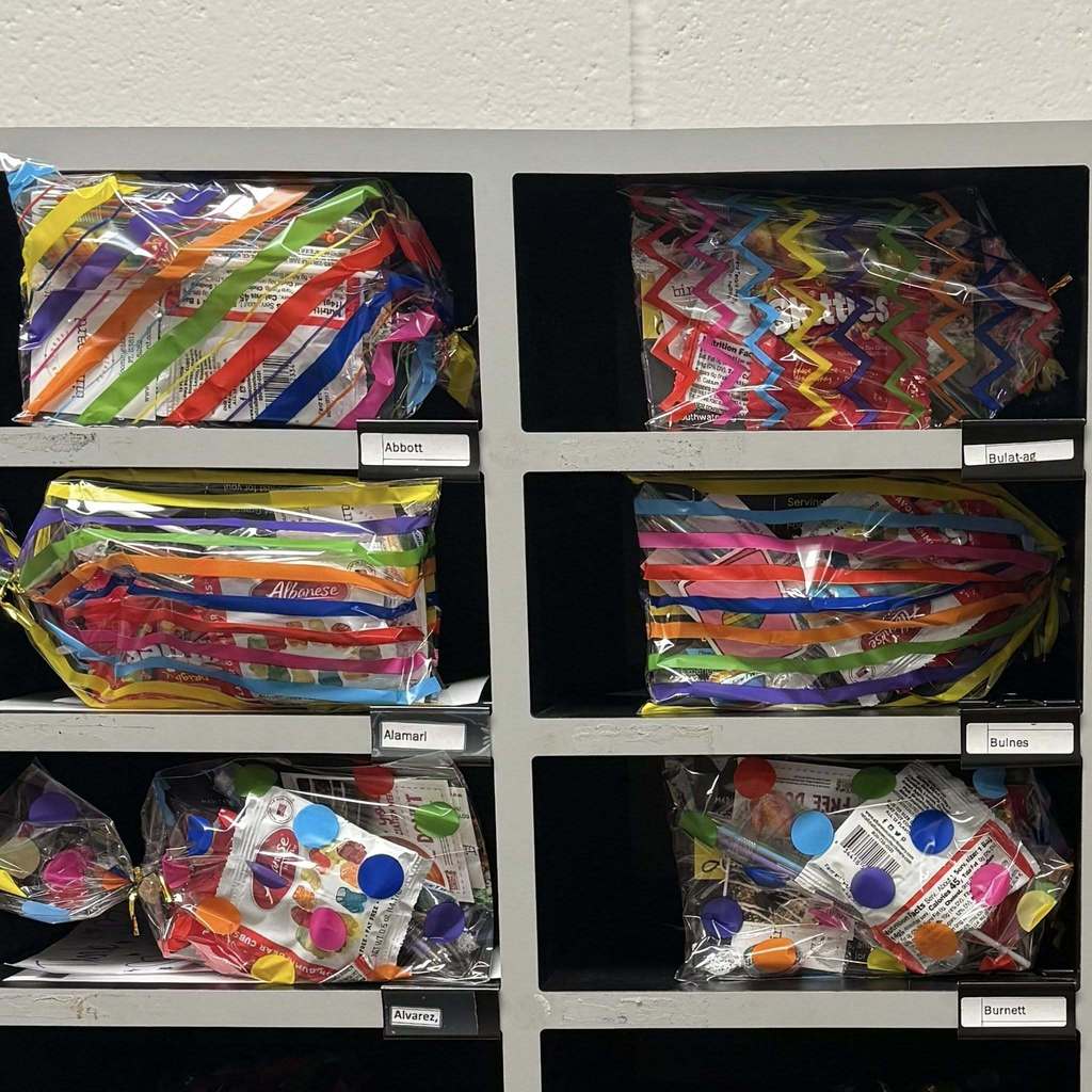 treat bag for staff