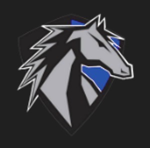 Seffner Mustang logo