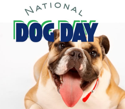National Dog Day graphic featuring a bulldog