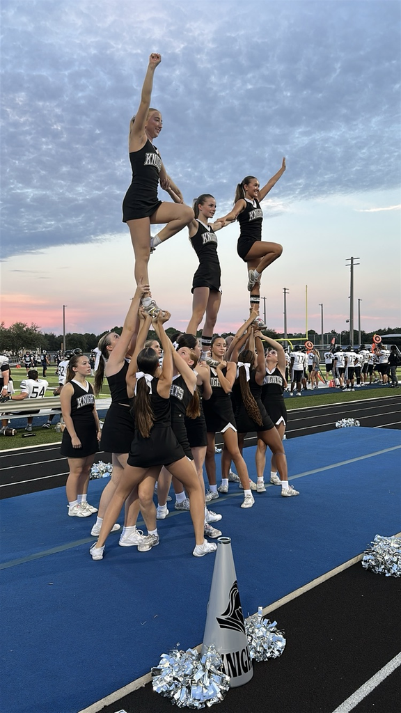 Robinson High School cheerleaders