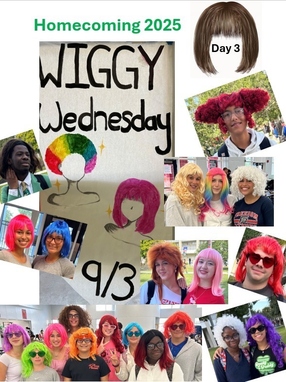 Wig Day