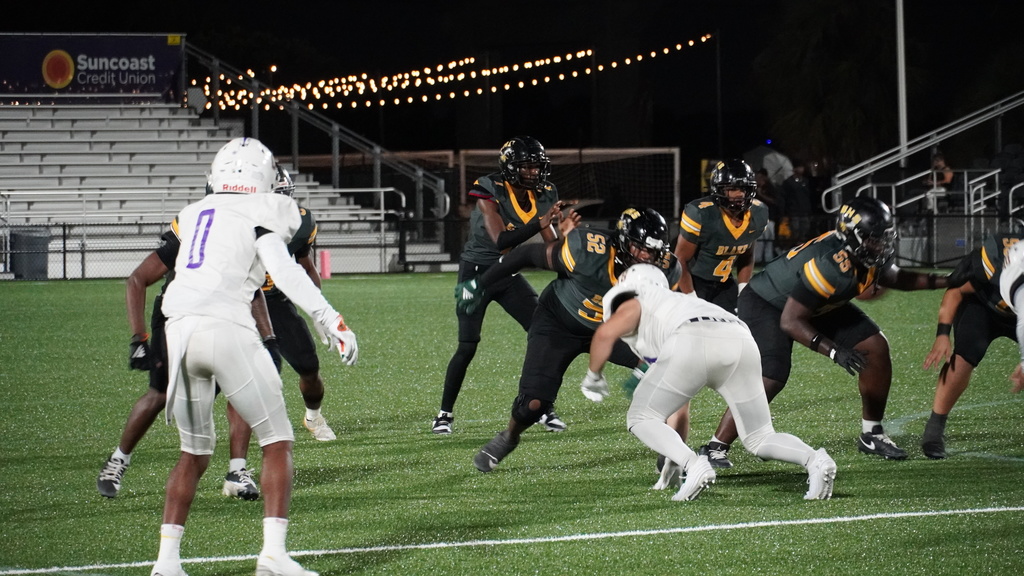 Hillsborough Night Lights W2