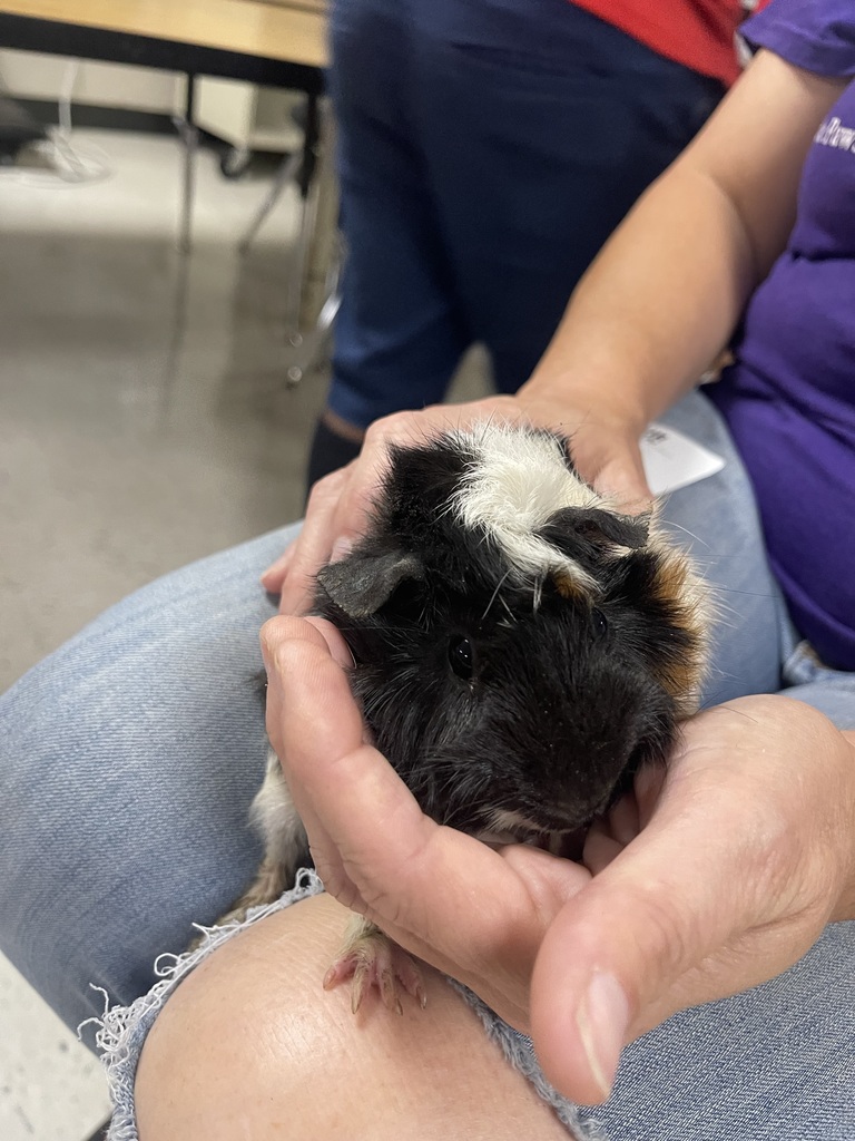 Animal visiting 2nd grade to learn about Little Paws Animal Rescue
