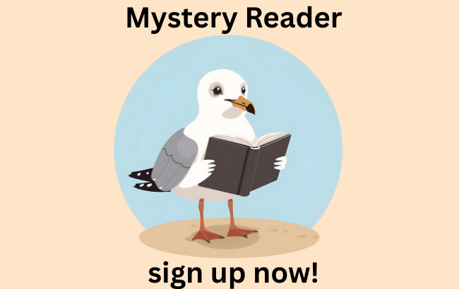 reading seagull