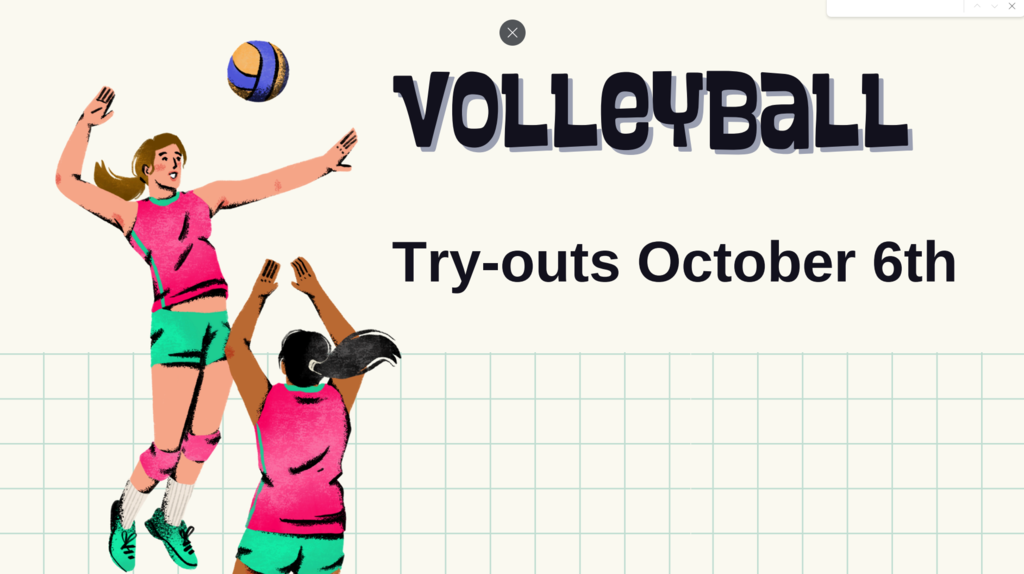 Volleyball Try-outs