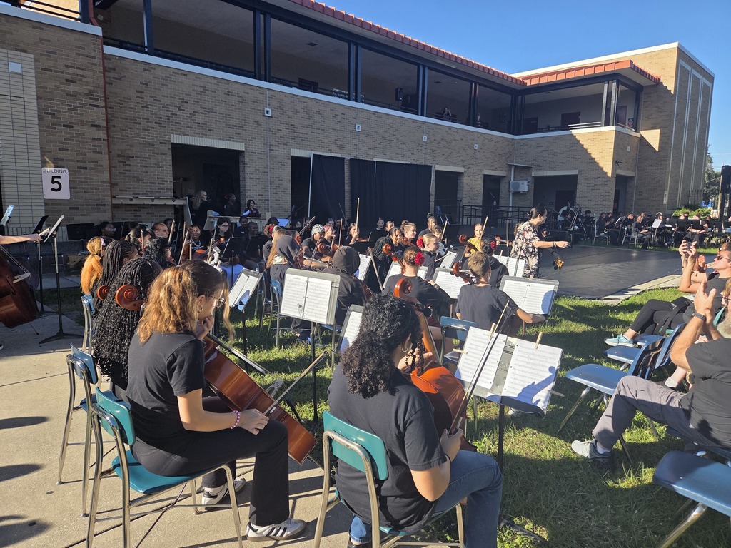 Orchestra