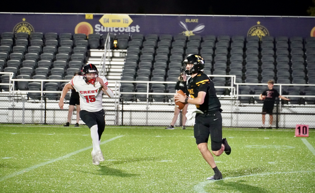 Hillsborough Night Lights