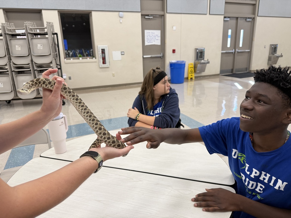 Echo the Hognose Snake 