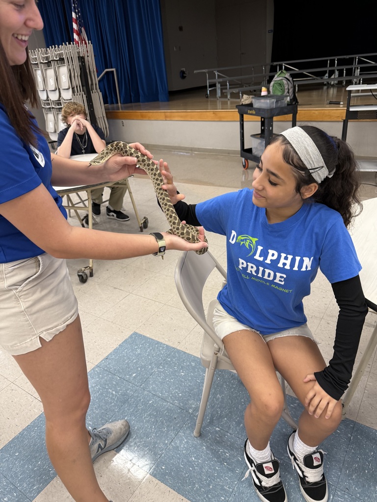 Echo the Hognose Snake 