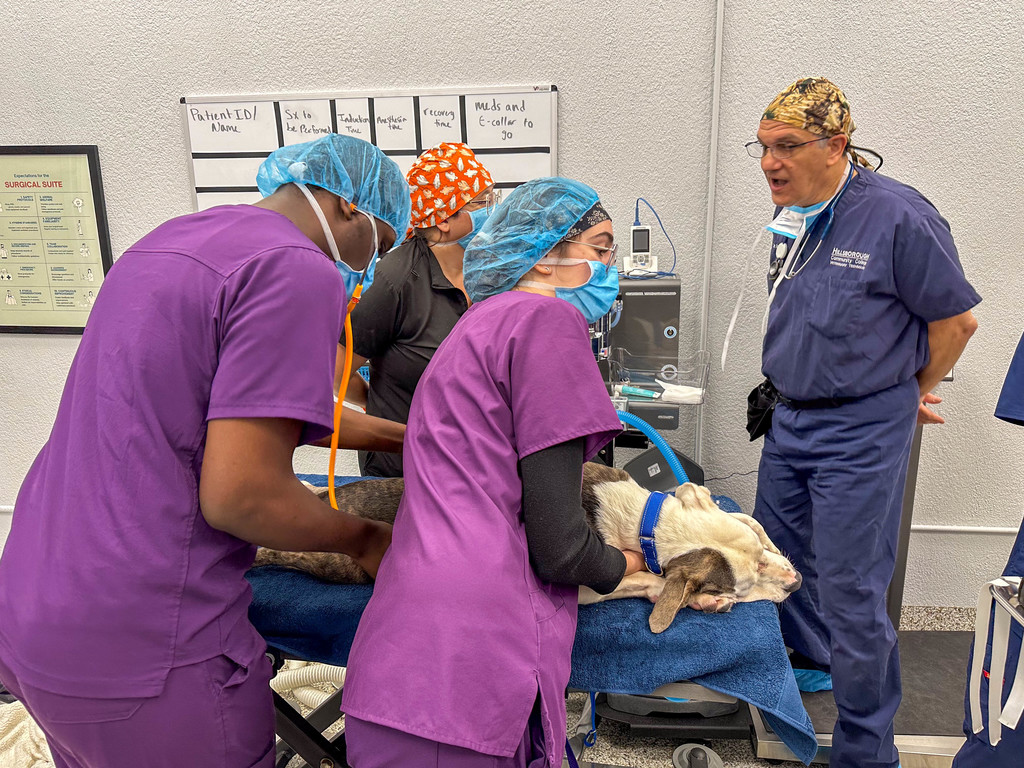 The TBT Vet Assisting Program conducts first on-campus surgery