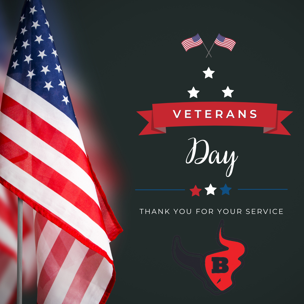 Red Blue Flag Veterans Day Instagram 