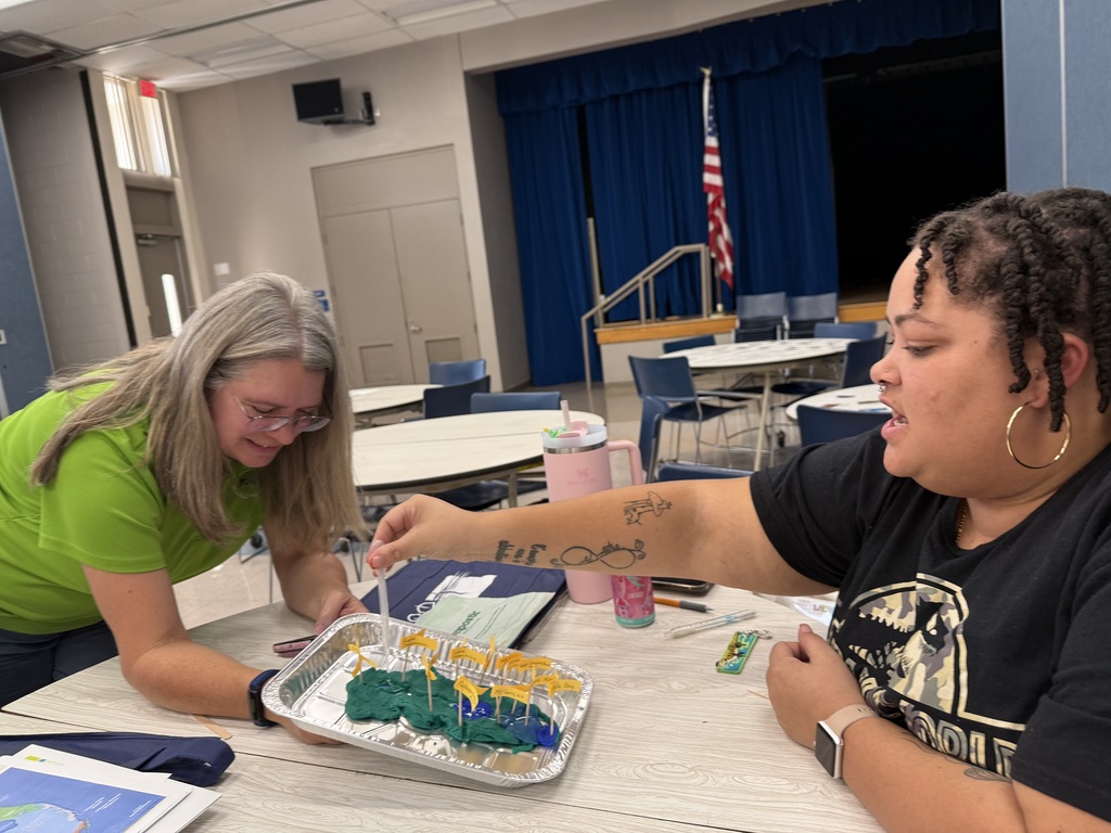 Collaboration on the Everglades Model
