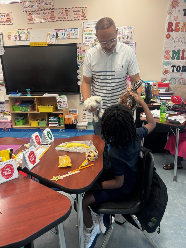 Ybor Misfits Animal Rescue