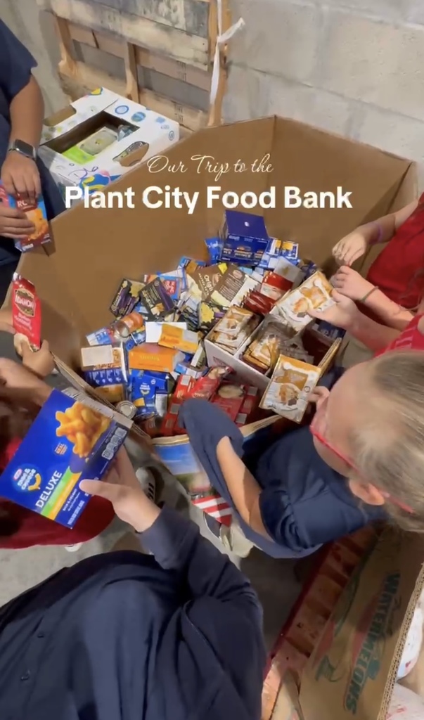 Sorting food at food bank