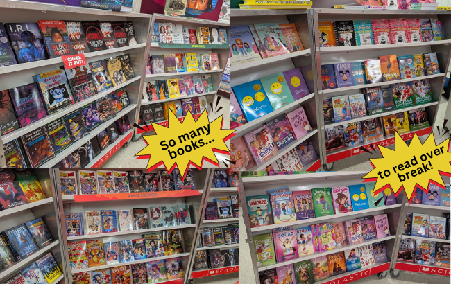 silver carts with 4 shelves, each lined with colorful books