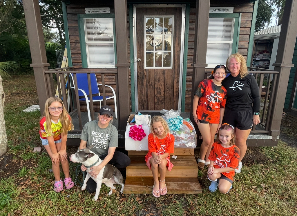 Donations for cat and dog rescue