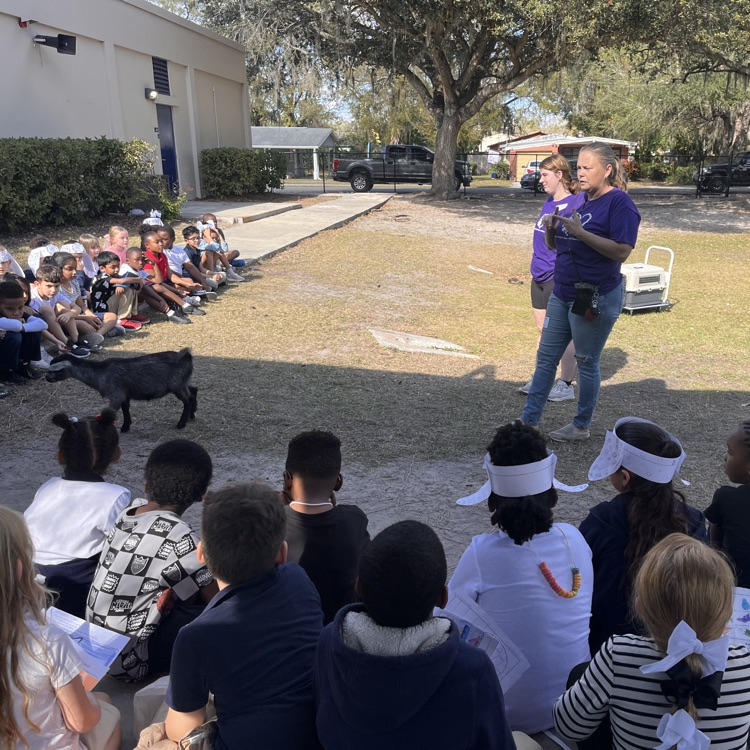 Little Paws Animal Rescue and Sanctuary 