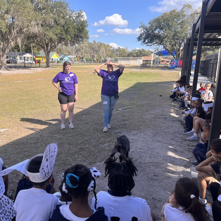 Little Paws Animal Rescue and Sanctuary 