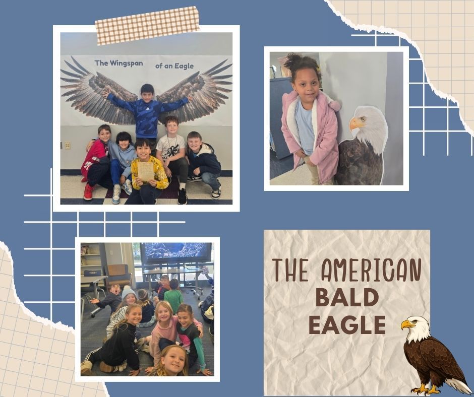 Students standing next to eagle printouts and wingspan