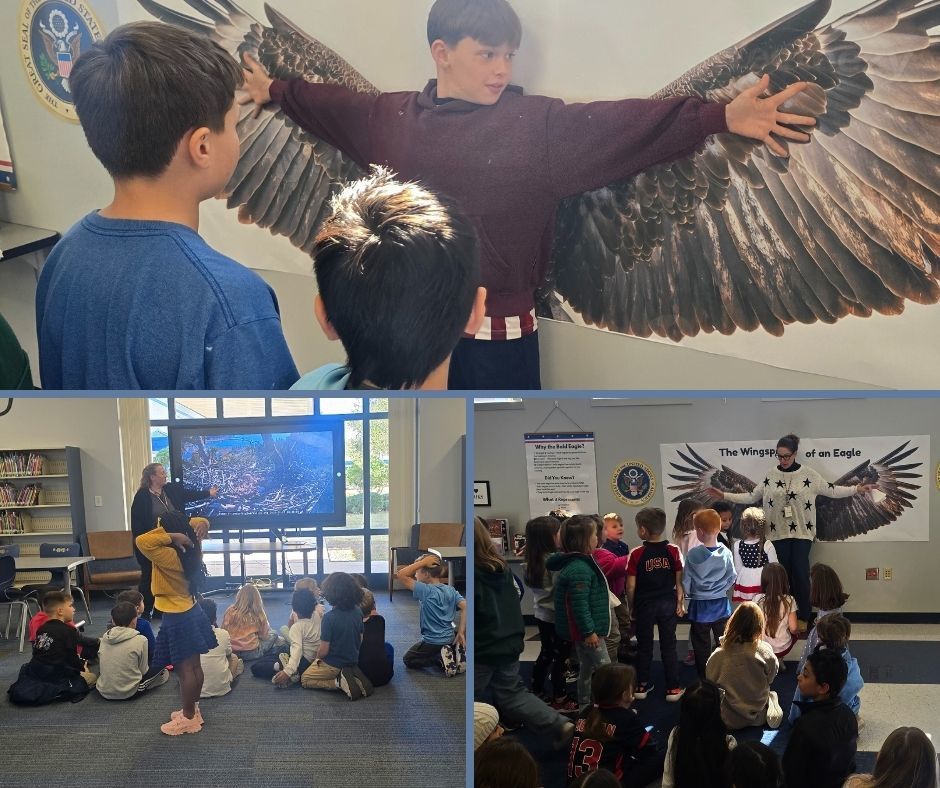 Students standing next to eagle printouts and wingspan