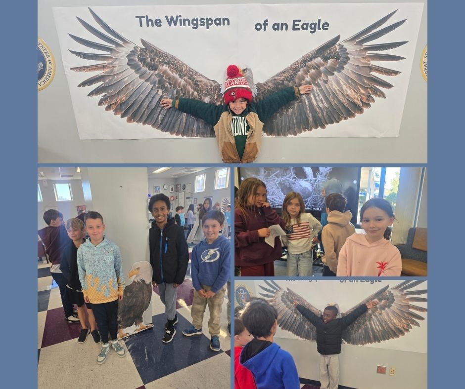 Students standing next to eagle printouts and wingspan