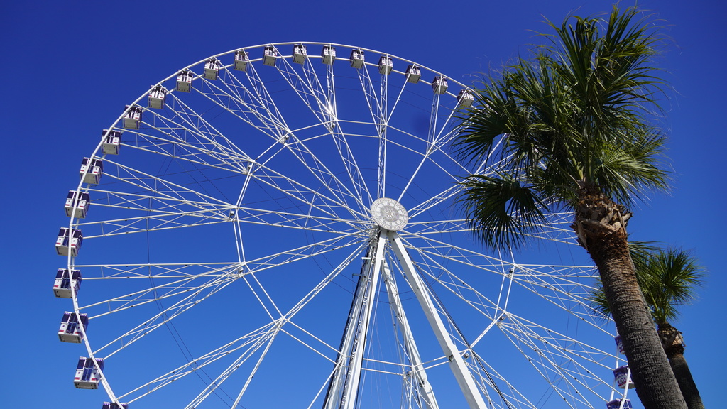 Ferris Wheel