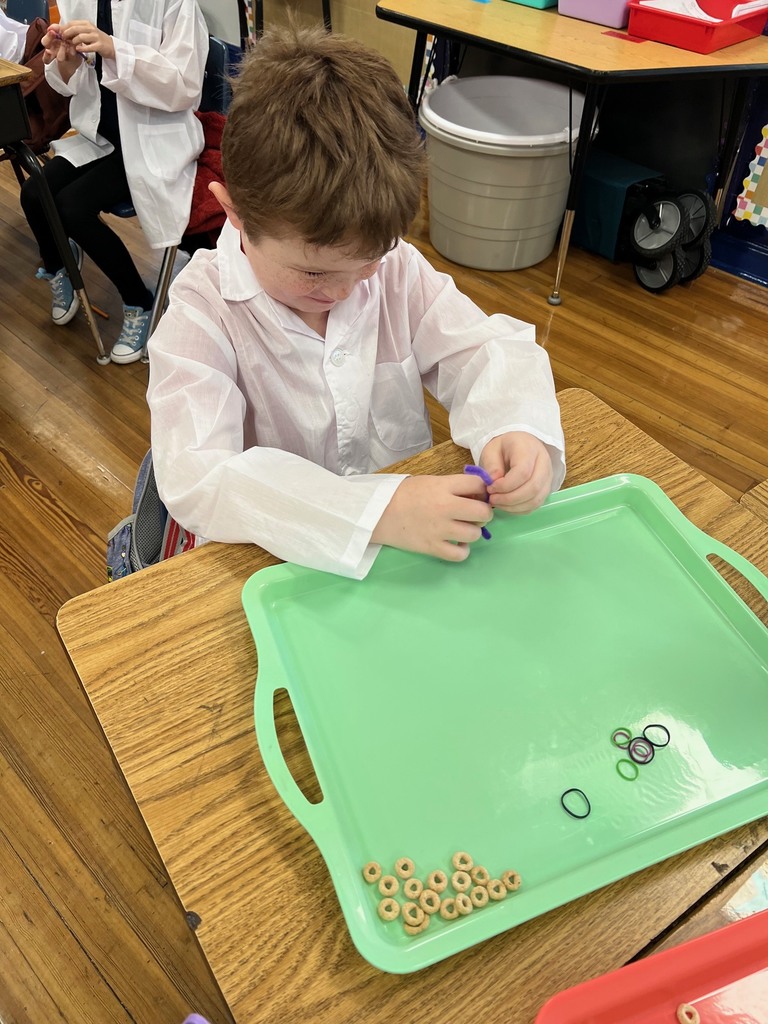 Students in 3rd grade building modeles of vertebrate and invertebrate animals