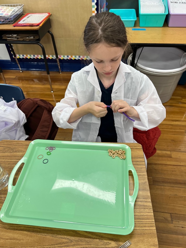 Students in 3rd grade building modeles of vertebrate and invertebrate animals