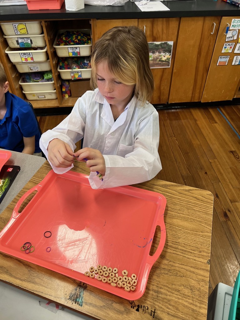 Students in 3rd grade building modeles of vertebrate and invertebrate animals