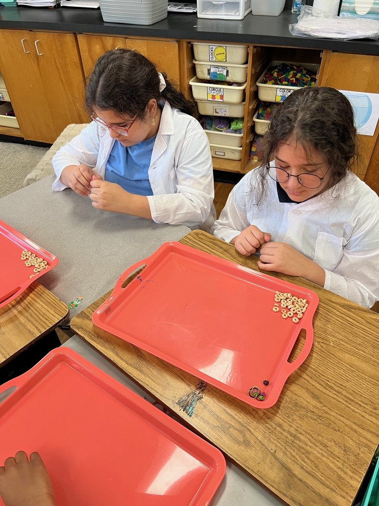 Students in 3rd grade building modeles of vertebrate and invertebrate animals