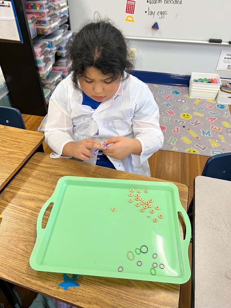 Students in 3rd grade building modeles of vertebrate and invertebrate animals