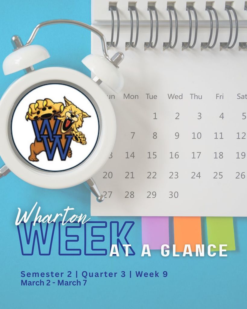 week at a glance