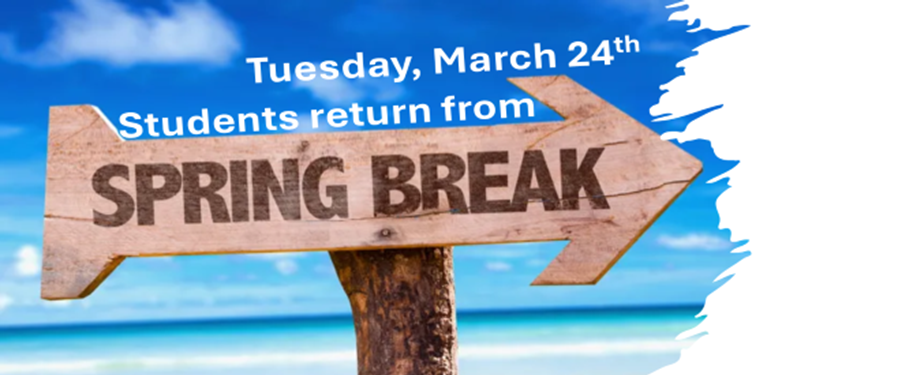 Wooden arrow that says Spring Break with the ocean and sky background