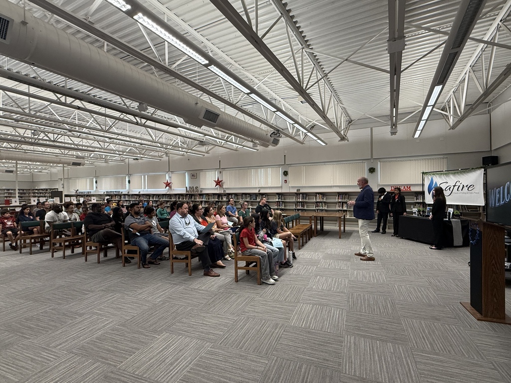 Business Leadership Academy - Safire