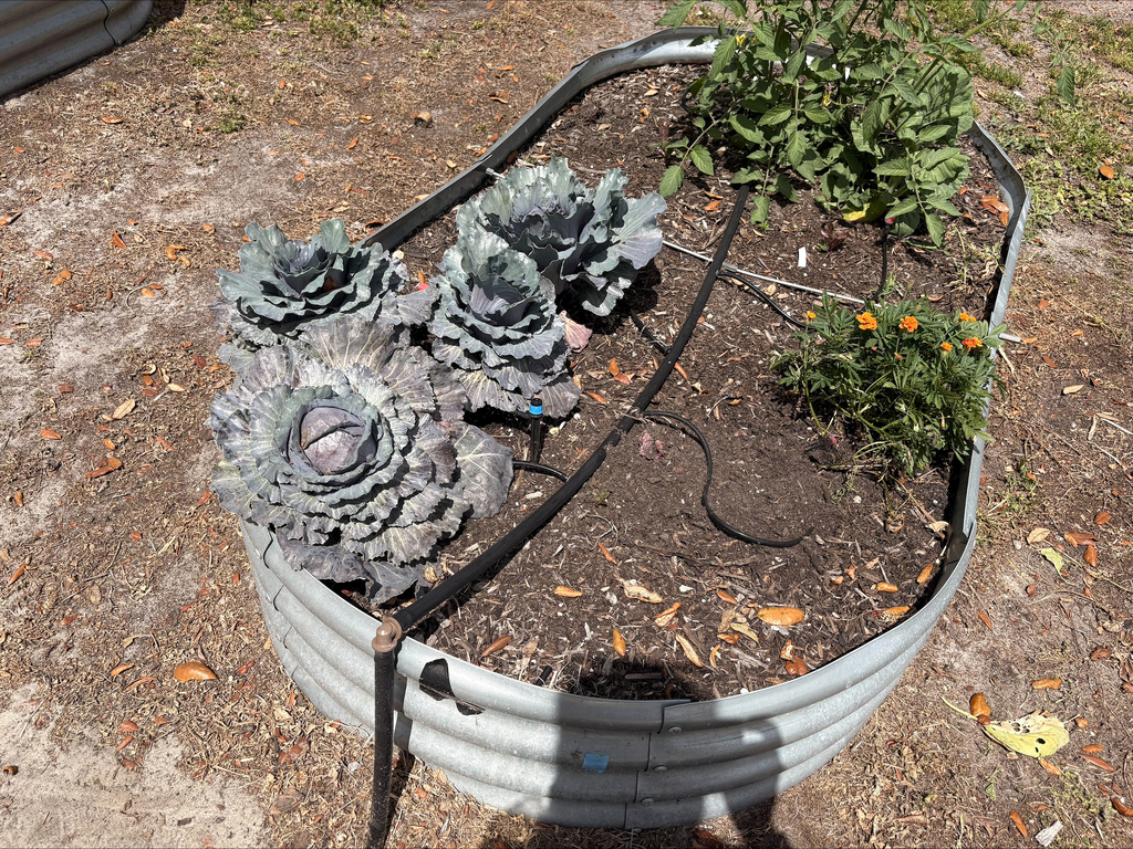 Edison Elementary School's SEEDFOLKids Community Market Day