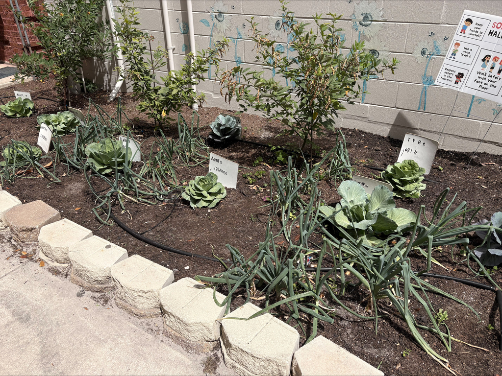 Edison Elementary School's SEEDFOLKids Community Market Day