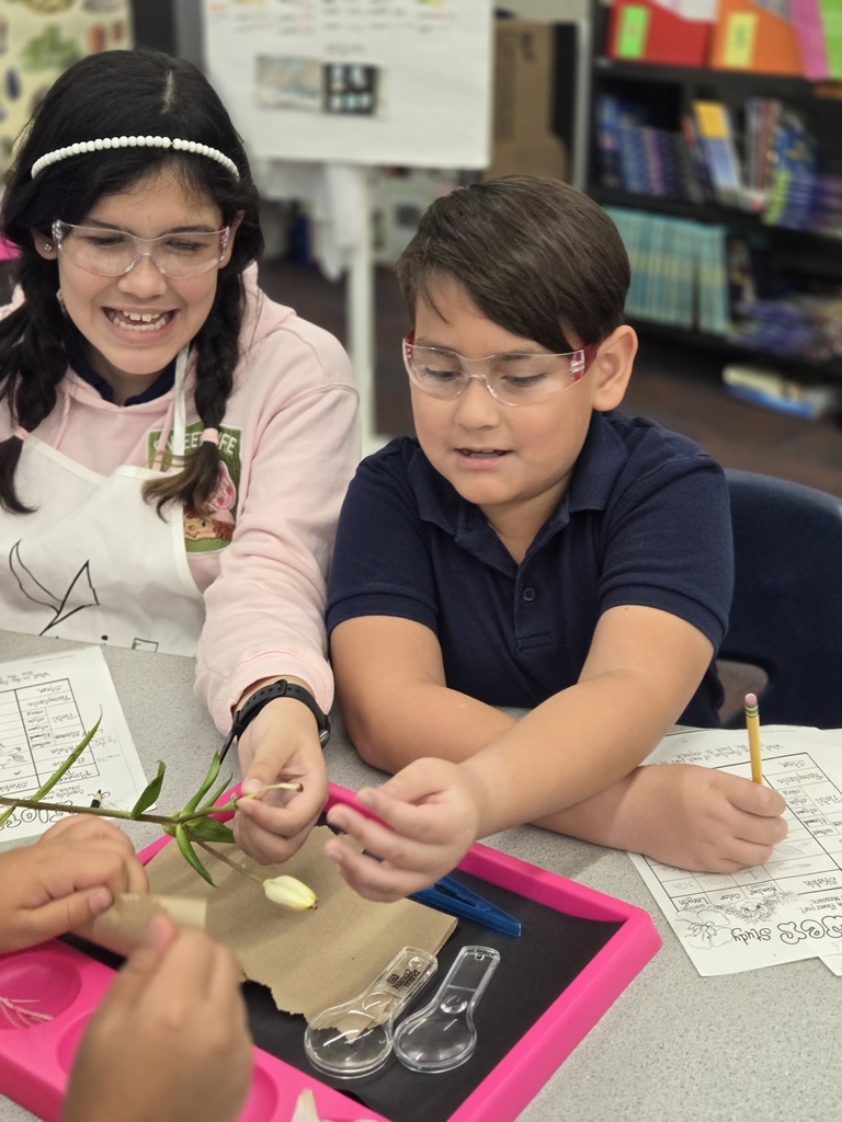 4th grade gifted