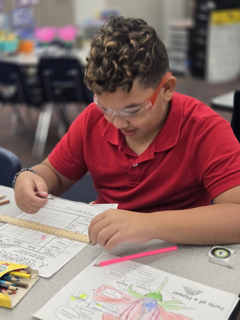 4th grade gifted