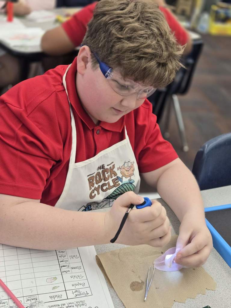 4th grade gifted