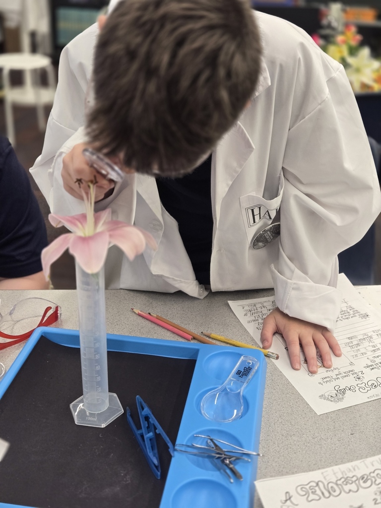 4th grade gifted
