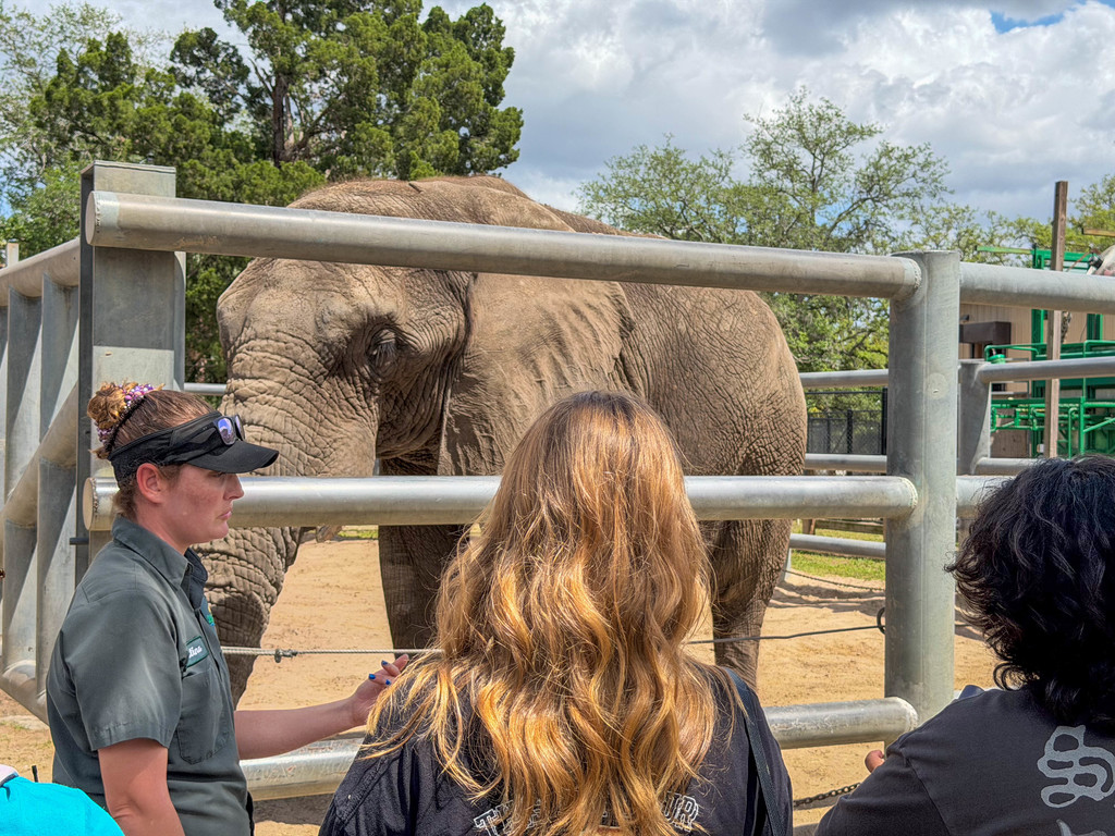 Gaither Agriculture students visit ZooTampa at Lowry Park