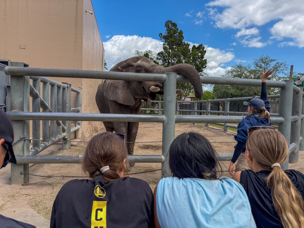Gaither Agriculture students visit ZooTampa at Lowry Park