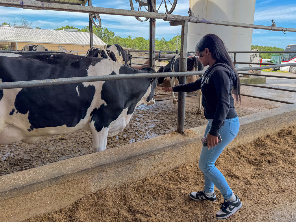 Armwood Agriculture students visit M&B Dairy in Lecanto