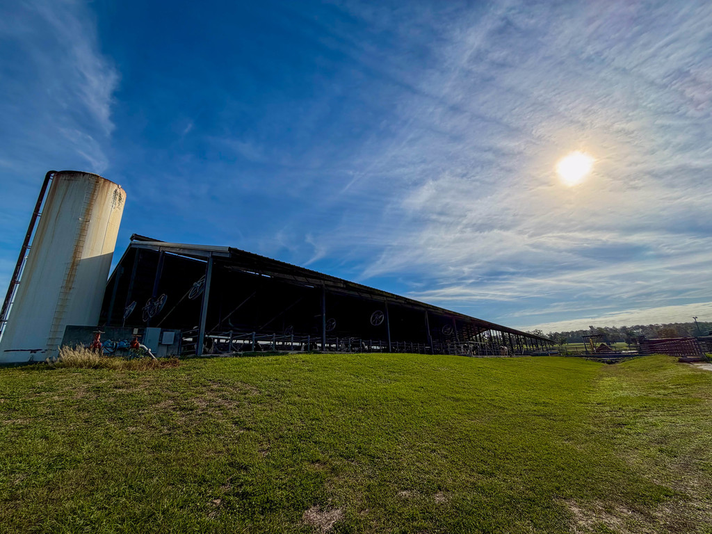 Armwood Agriculture students visit M&B Dairy in Lecanto
